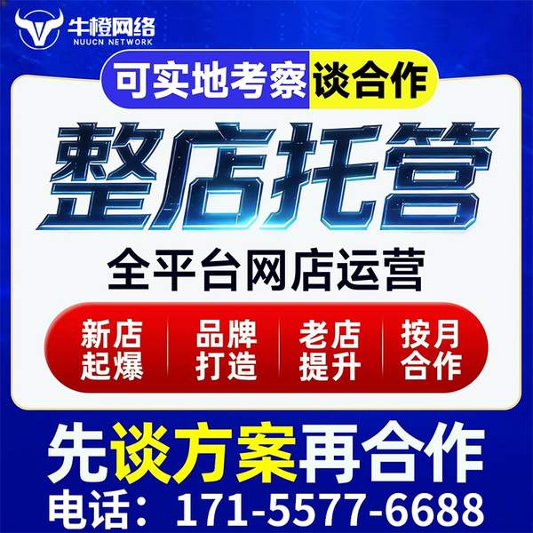晋江电商代运营