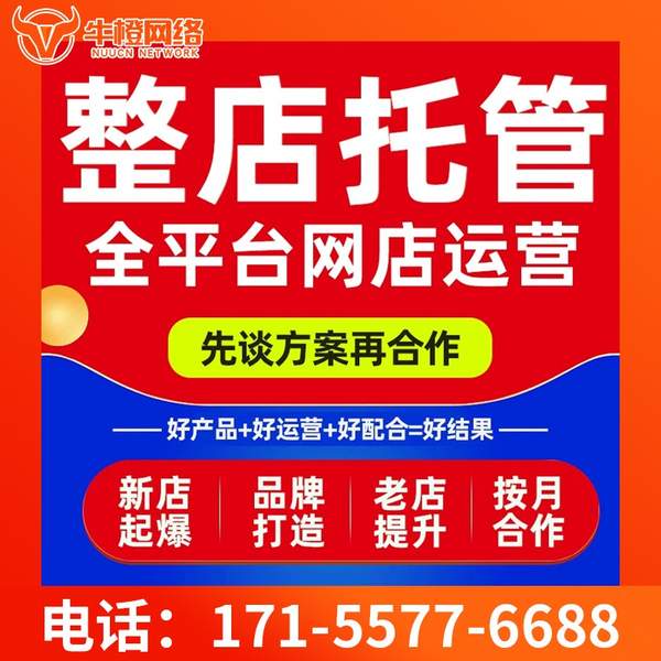 晋江电商代运营
