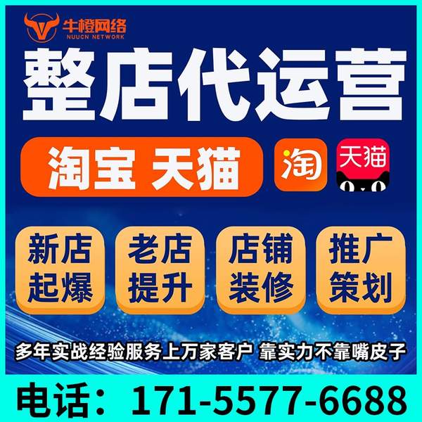晋江电商代运营