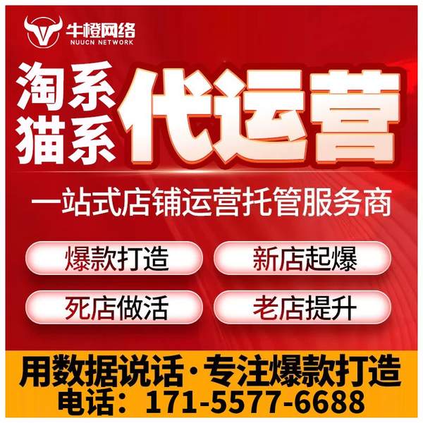 晋江电商代运营